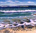 Piping Plovers 