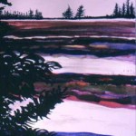 Cape Split from - Diligent River, NS