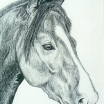 Charcoal