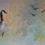 Mysteries of Migration