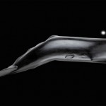 Sperm Whale