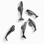 Pod of 5 Whales