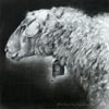 Apollo the Ram