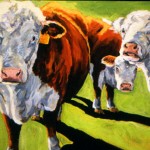 Three Herefords