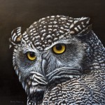 Night Owl