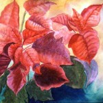 Seasonal Blooms