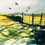 As the Crow Flies 