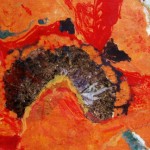 Poppy Obsession