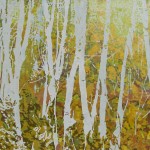Ombres from the 2011-2012 Series Jardins