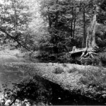 Herbert River #1