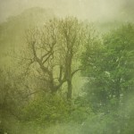 English Countryside