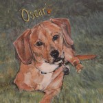 Dachshund/Terrier Cross (Mother's dog)