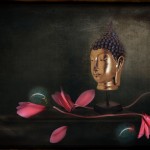 Buddha, from the series "Dollar Store Vanitas"